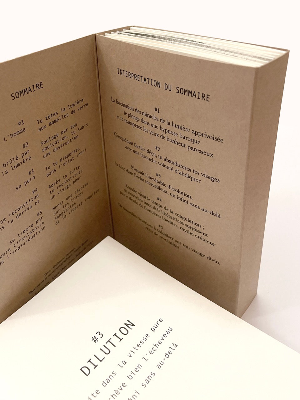 Le visage dans la pierre (tirage limité, signé)