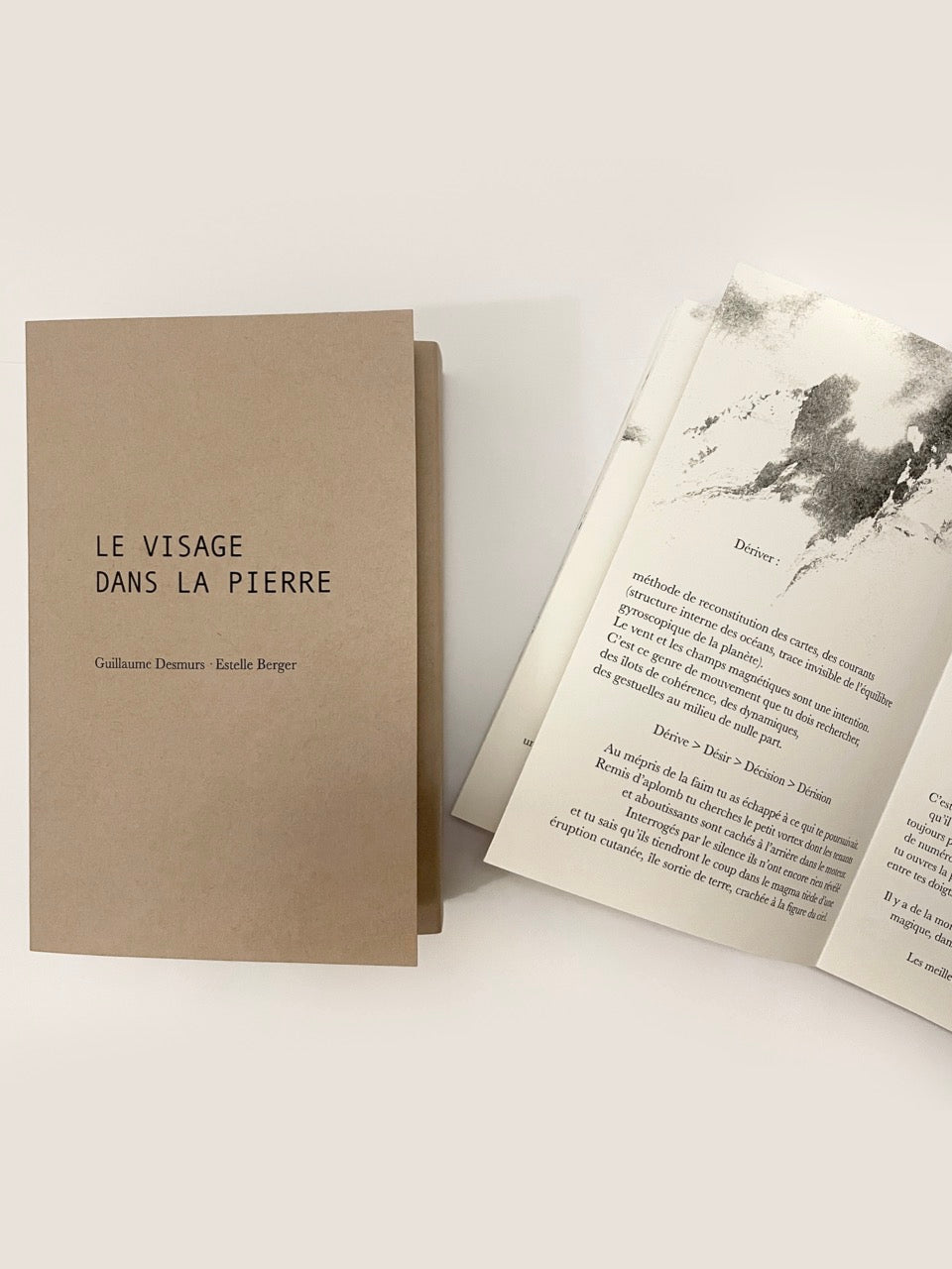 Le visage dans la pierre (tirage limité, signé)