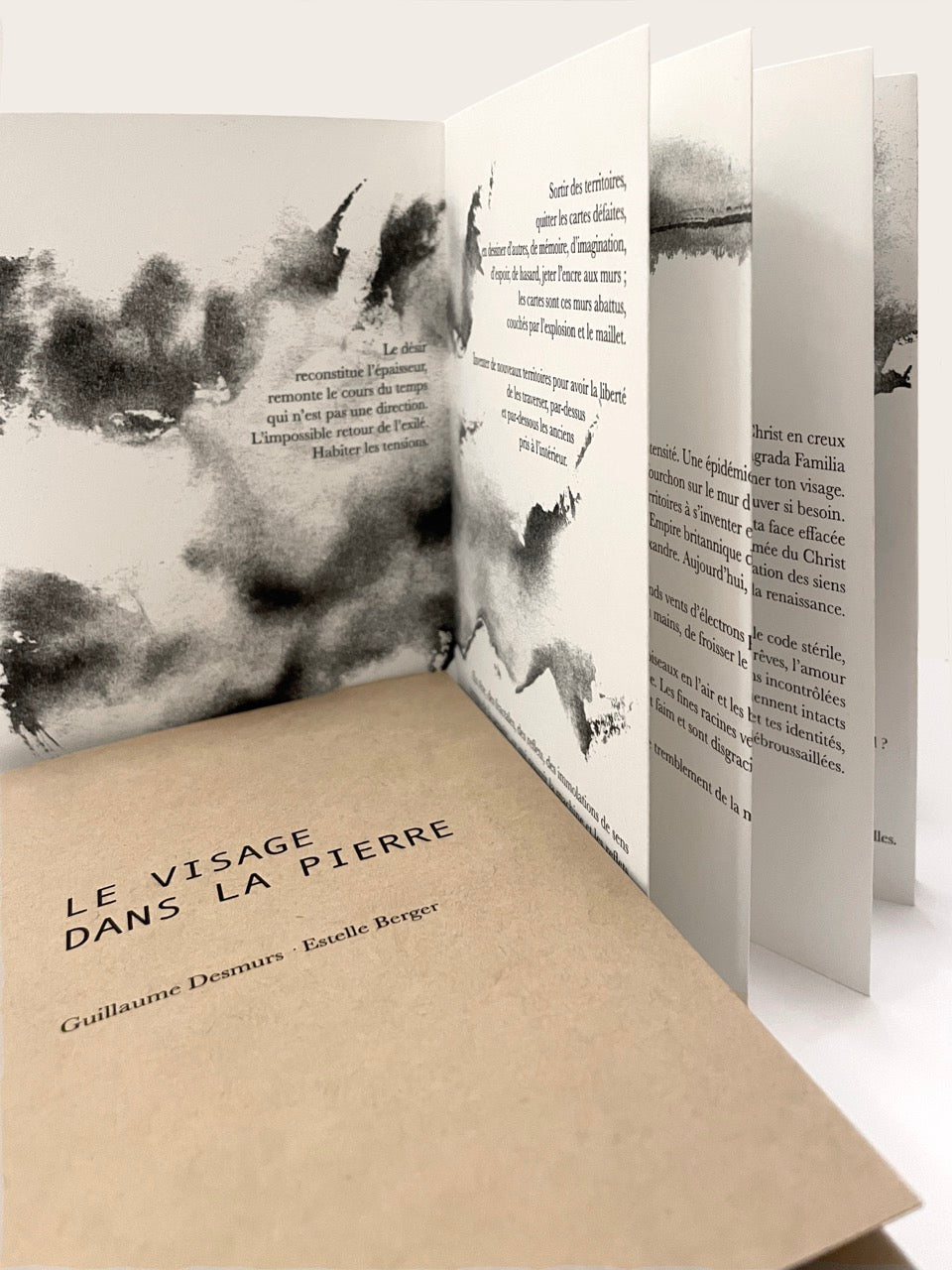 Le visage dans la pierre (tirage limité, signé)