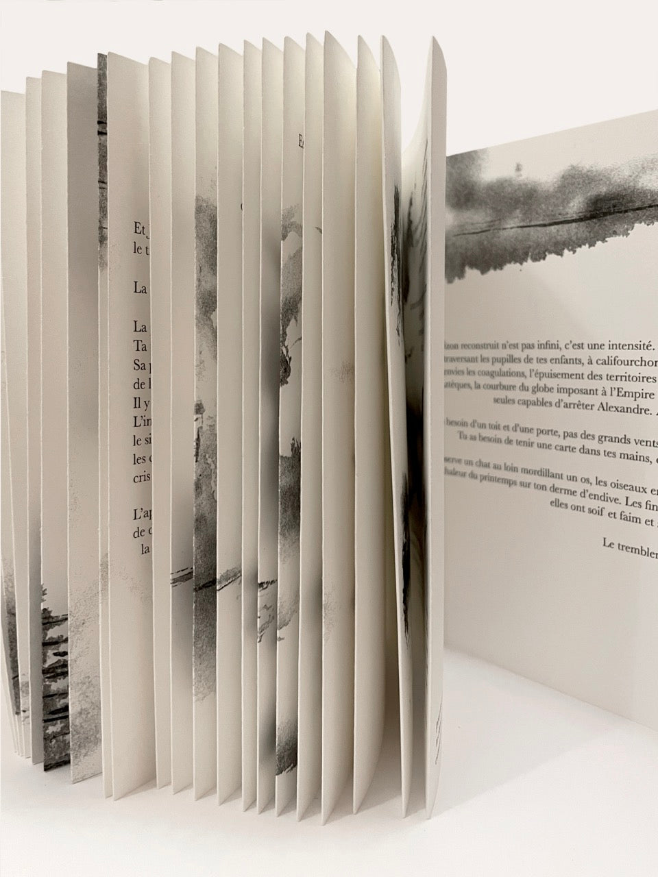 Le visage dans la pierre (tirage limité, signé)